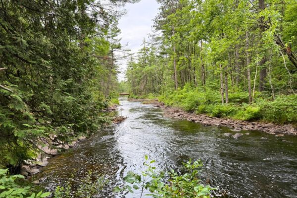 Kawartha Land Trust hopes to purchase and protect 435-acre property near Kawartha Highlands